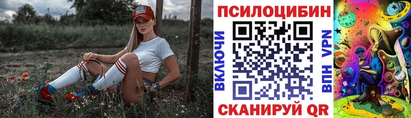 мега ССЫЛКА  Куровское  сайты даркнета официальный сайт  Псилоцибиновые грибы Psilocybe 